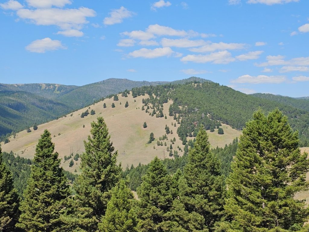 Banner Clancy Creek Road Property Photo 12