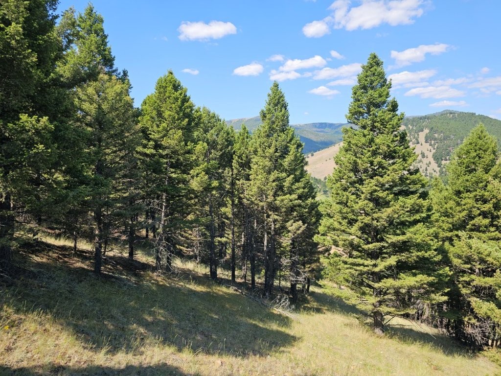 Banner Clancy Creek Road Property Photo 15