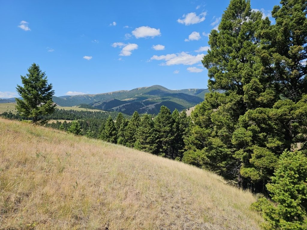 Banner Clancy Creek Road Property Photo 17