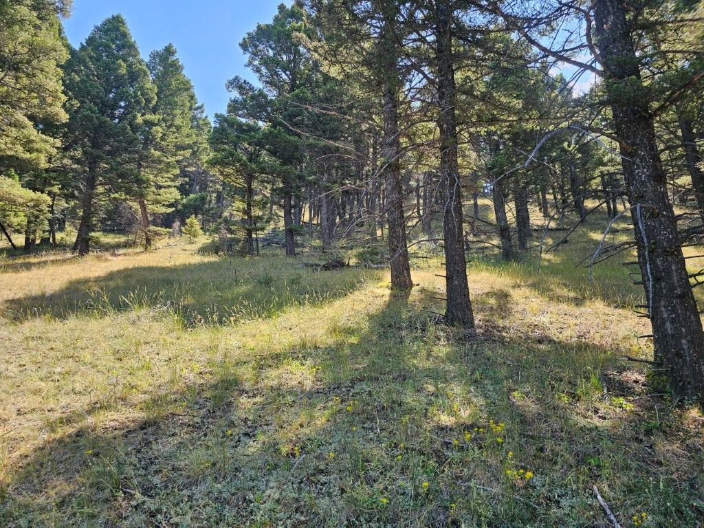 Banner Clancy Creek Road Property Photo 19