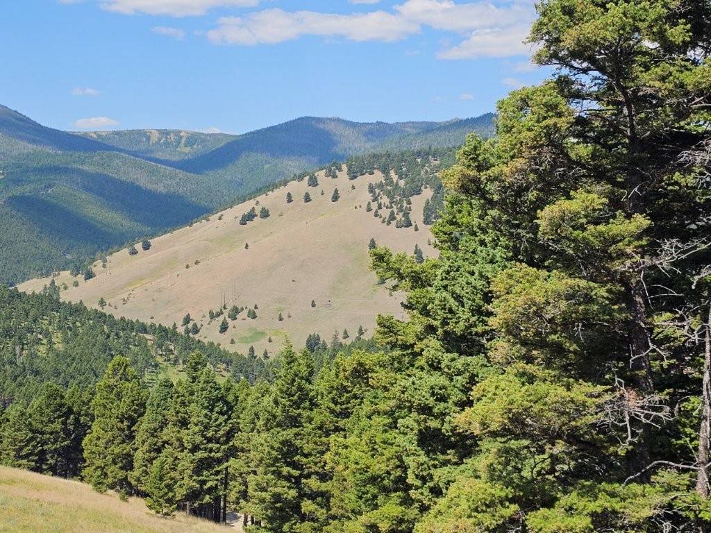 Banner Clancy Creek Road Property Photo 21