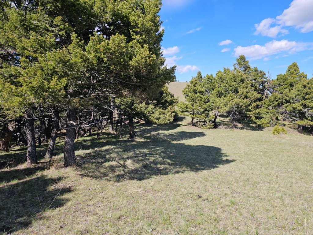 Banner Clancy Creek Road Property Photo 22