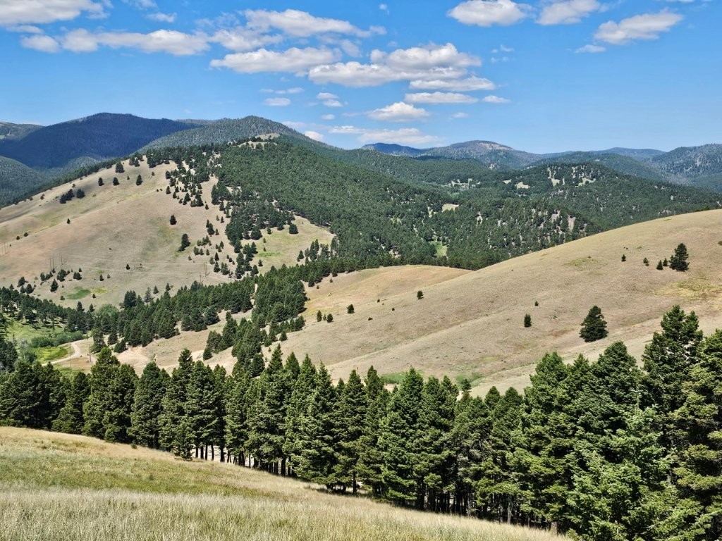Banner Clancy Creek Road Property Photo 24