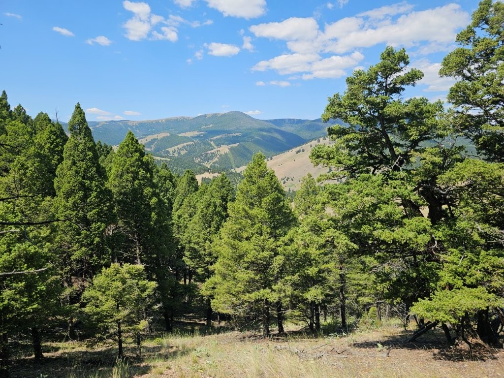 Banner Clancy Creek Road Property Photo 25