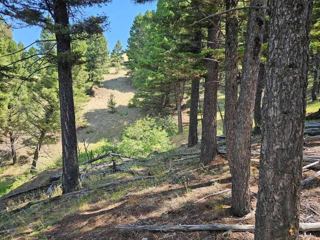 Banner Clancy Creek Road Property Photo 27