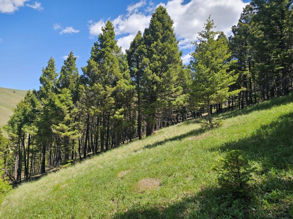 Banner Clancy Creek Road Property Photo 28