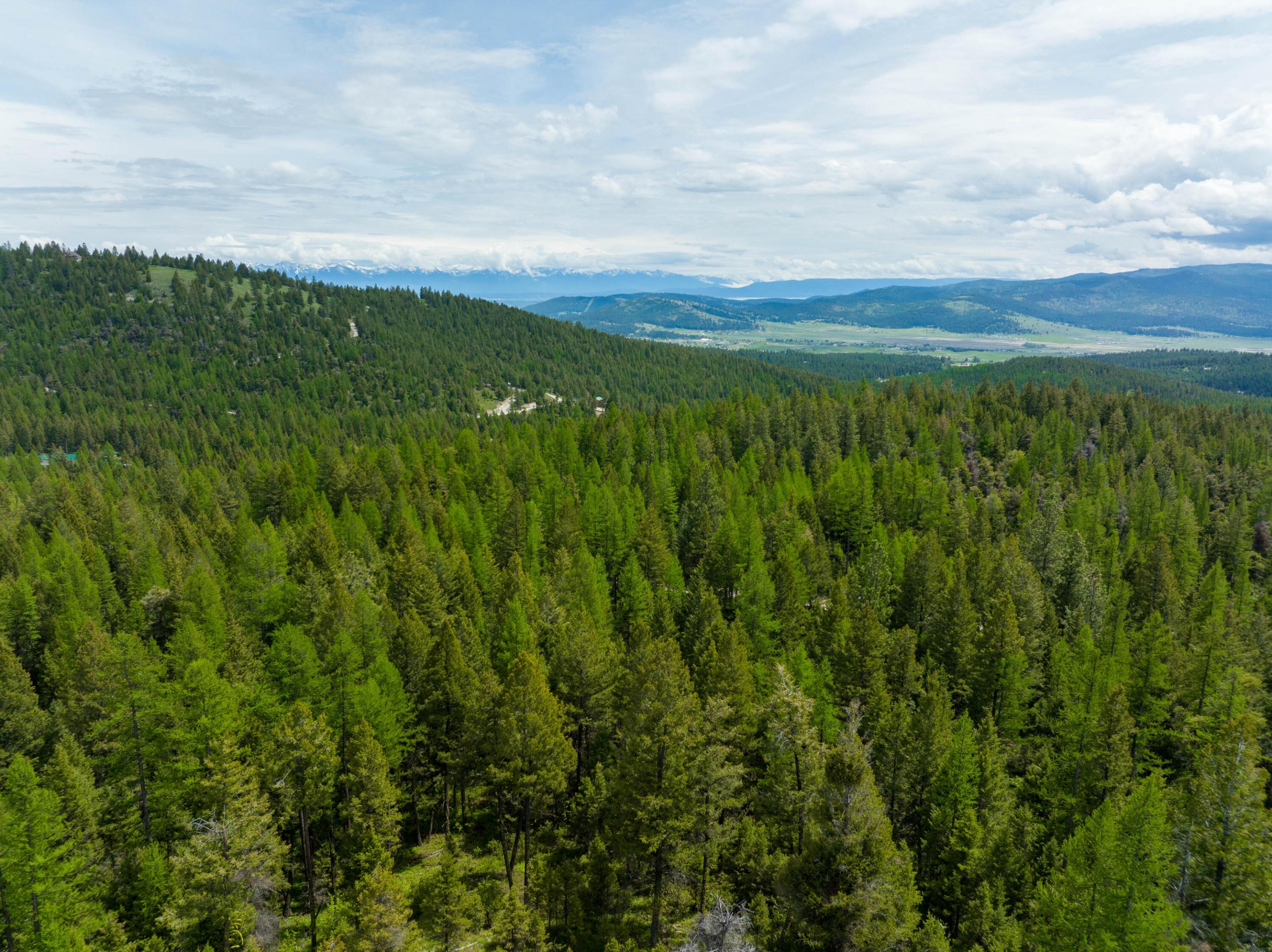 Nhn Copper Road Property Photo 3
