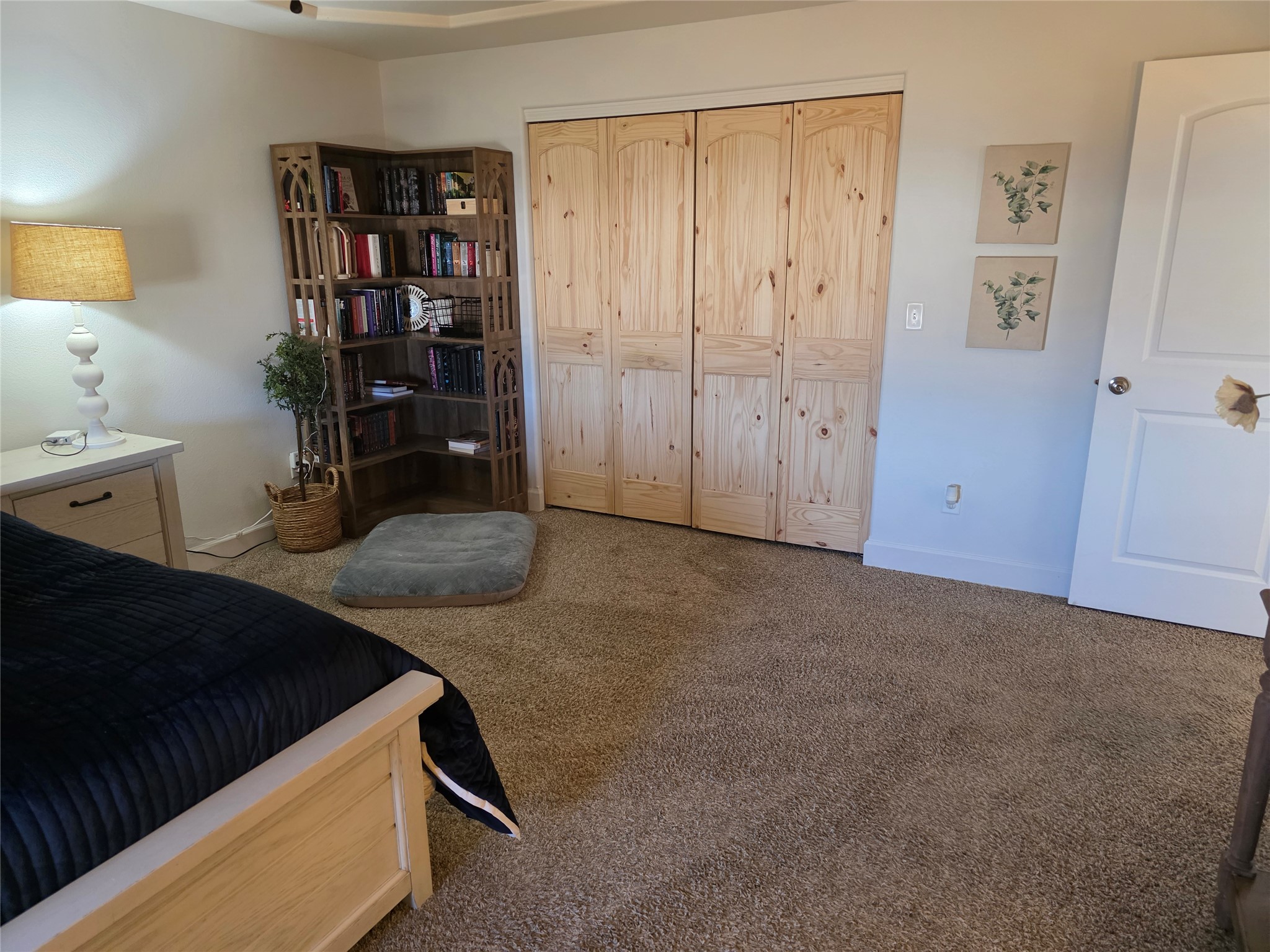8041 Avocet Drive Property Photo 11