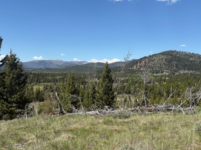 Nhn Mt Highway 279 Property Photo 3