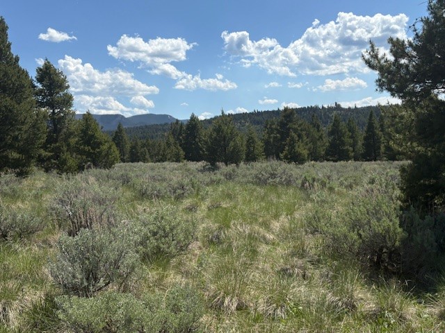Nhn Mt Highway 279 Property Photo 4
