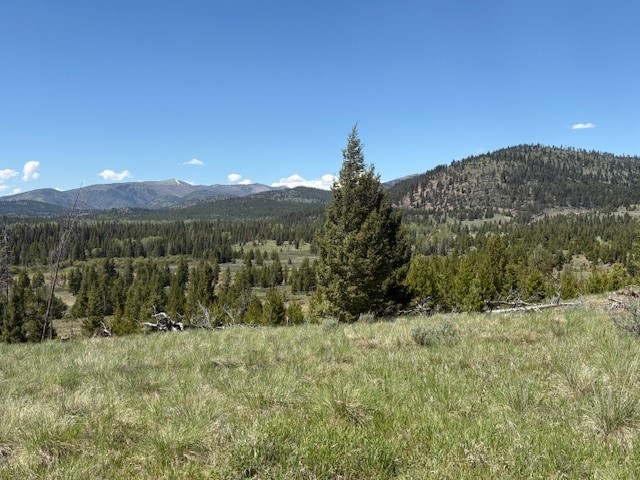 Nhn Mt Highway 279 Property Photo 5