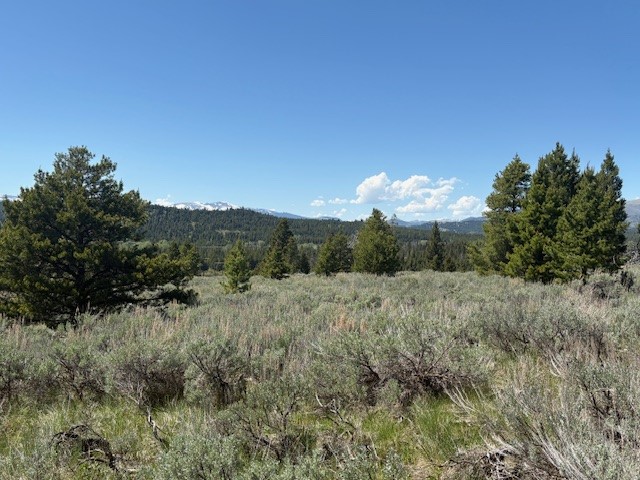 Nhn Mt Highway 279 Property Photo 8