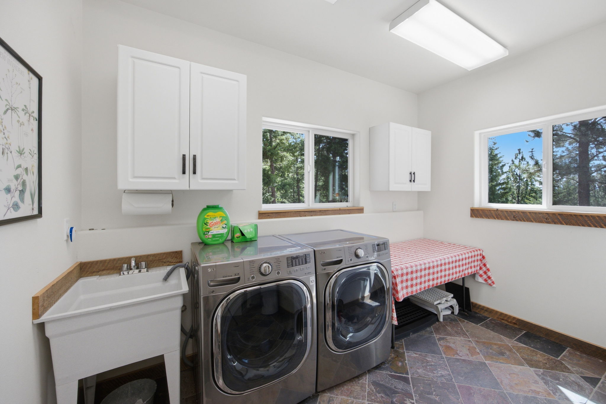 1666 Bear Face & Elizabeth Lane Property Photo 37