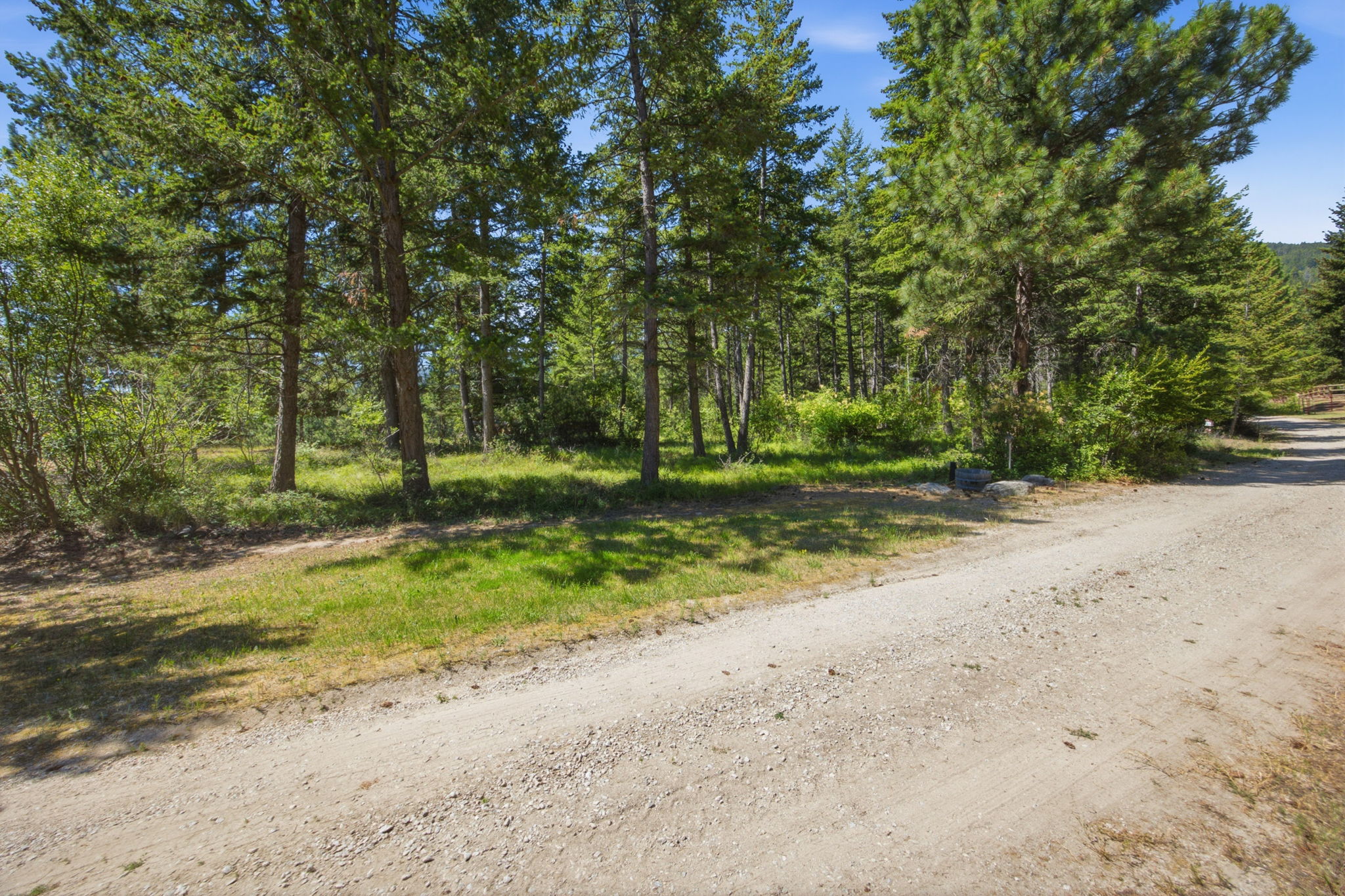 1666 Bear Face & Elizabeth Lane Property Photo 43