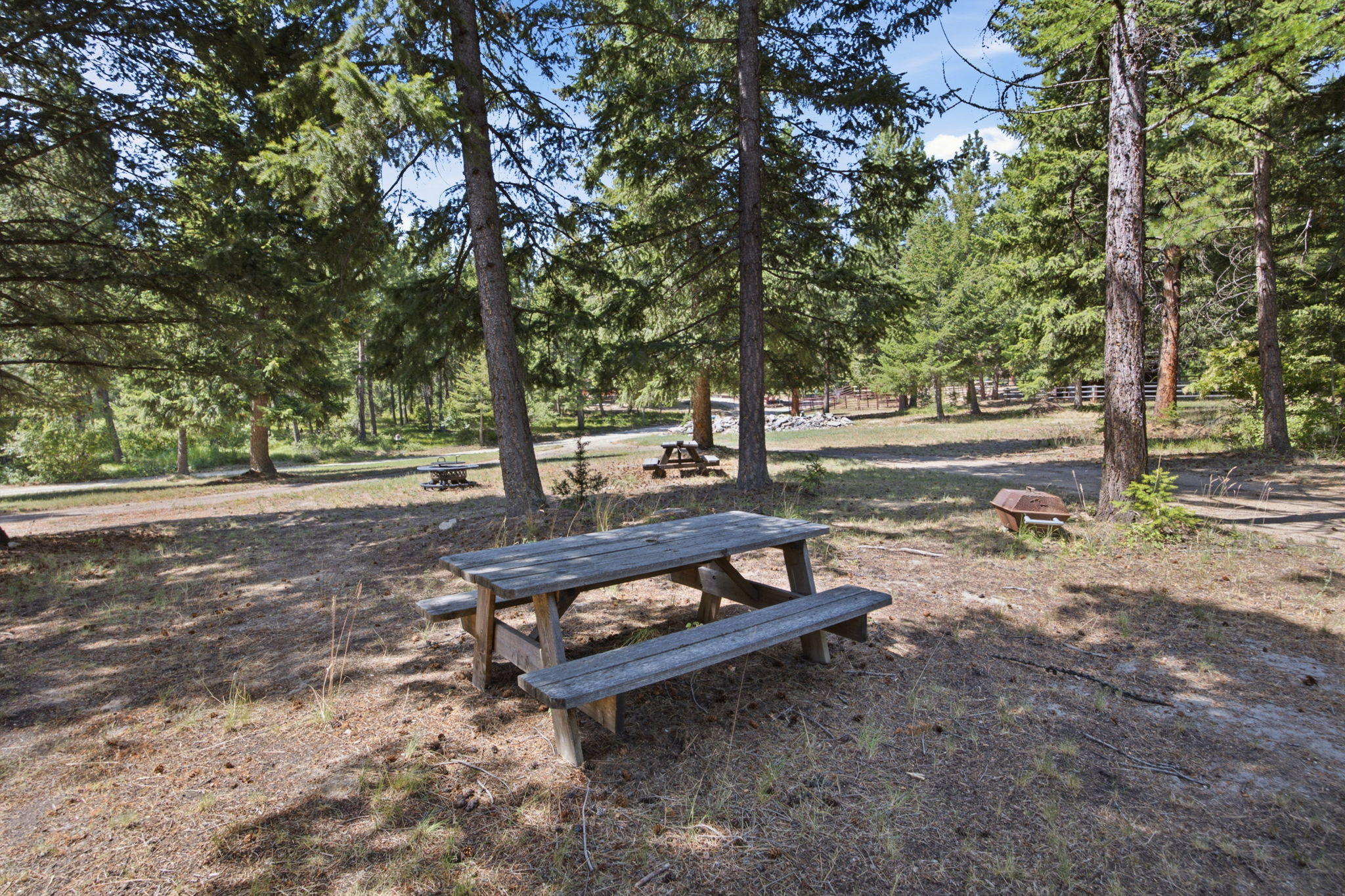 1666 Bear Face & Elizabeth Lane Property Photo 45