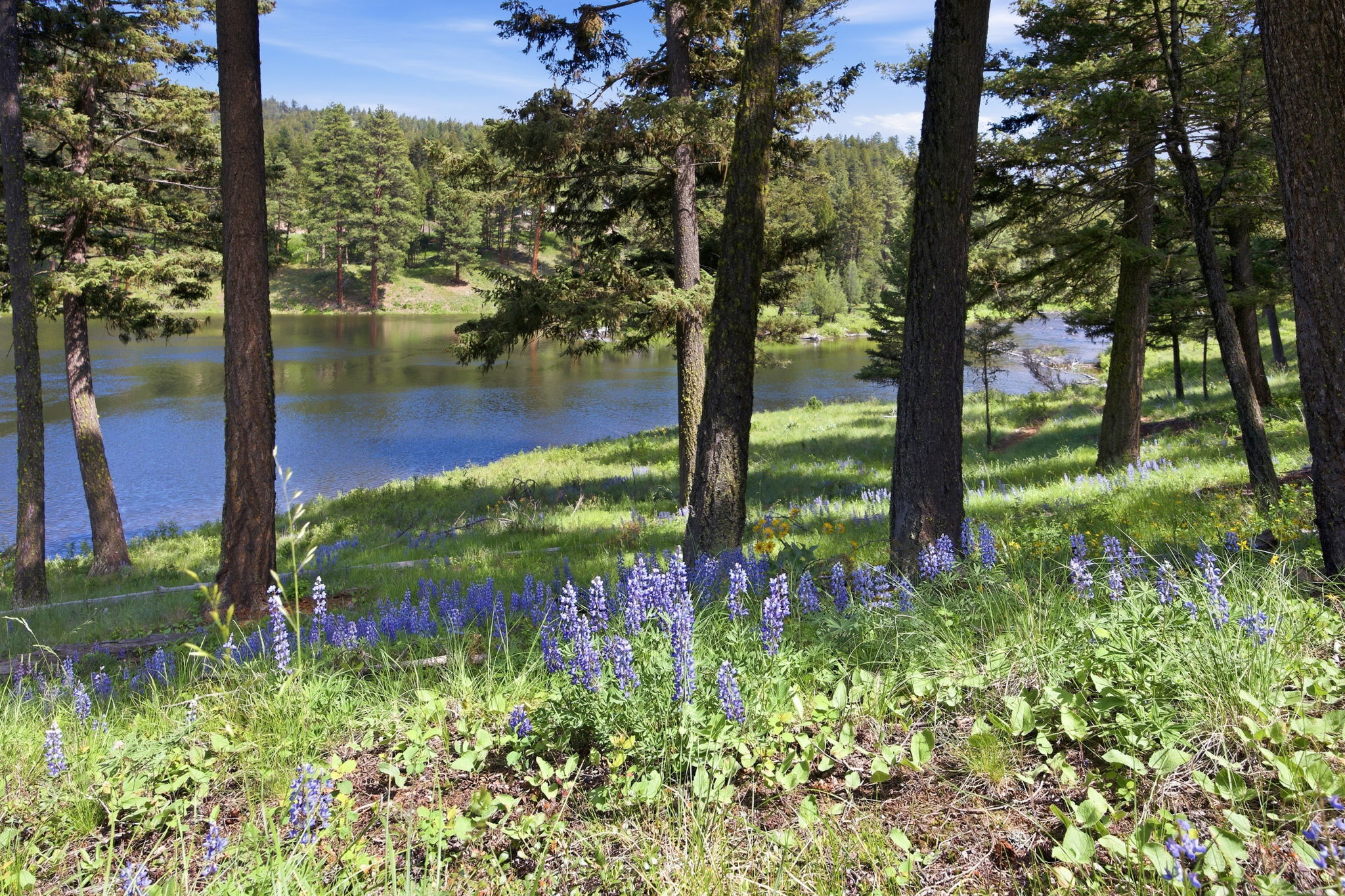 3 Big Waters Ranch Road Property Photo 6