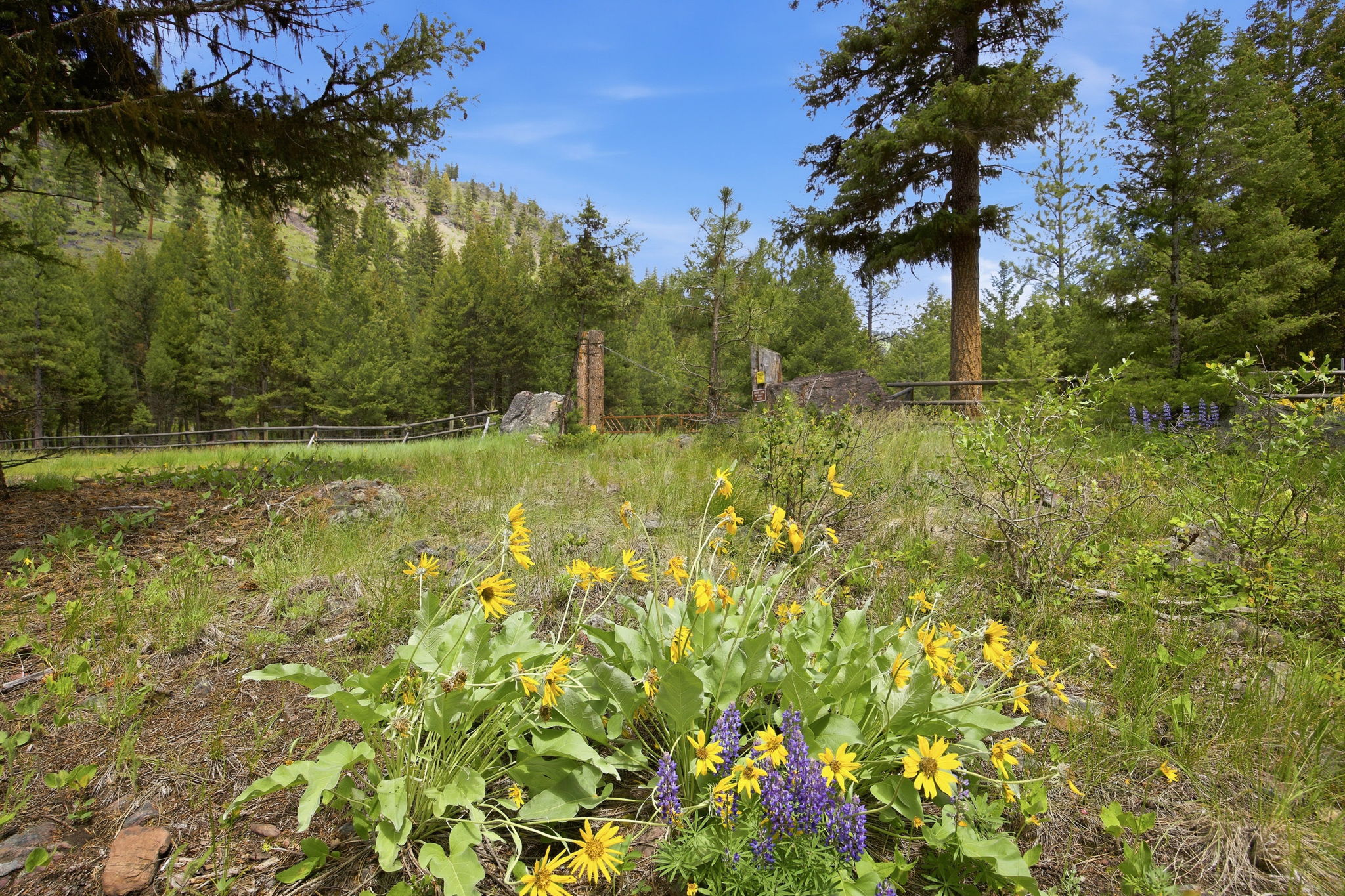 3 Big Waters Ranch Road Property Photo 20