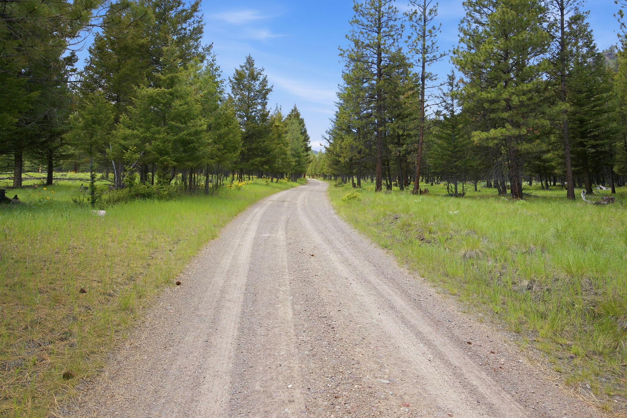3 Big Waters Ranch Road Property Photo 21