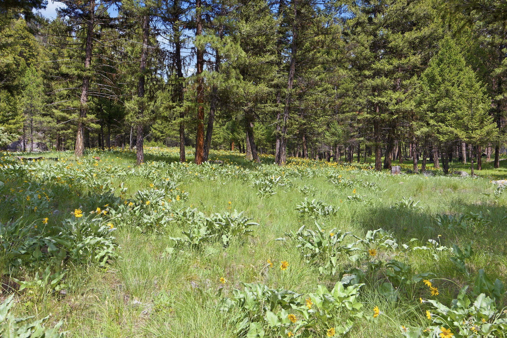 3 Big Waters Ranch Road Property Photo 23