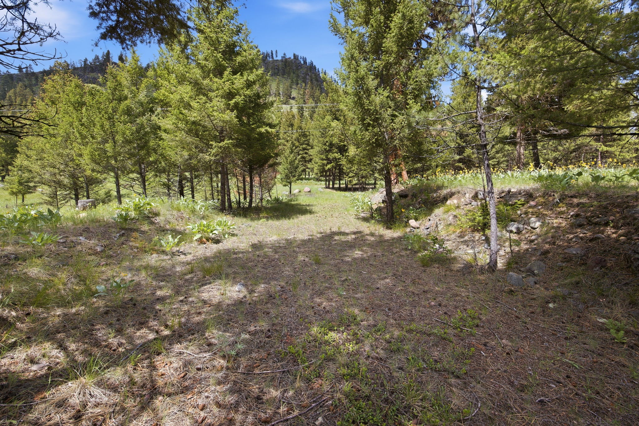 3 Big Waters Ranch Road Property Photo 24