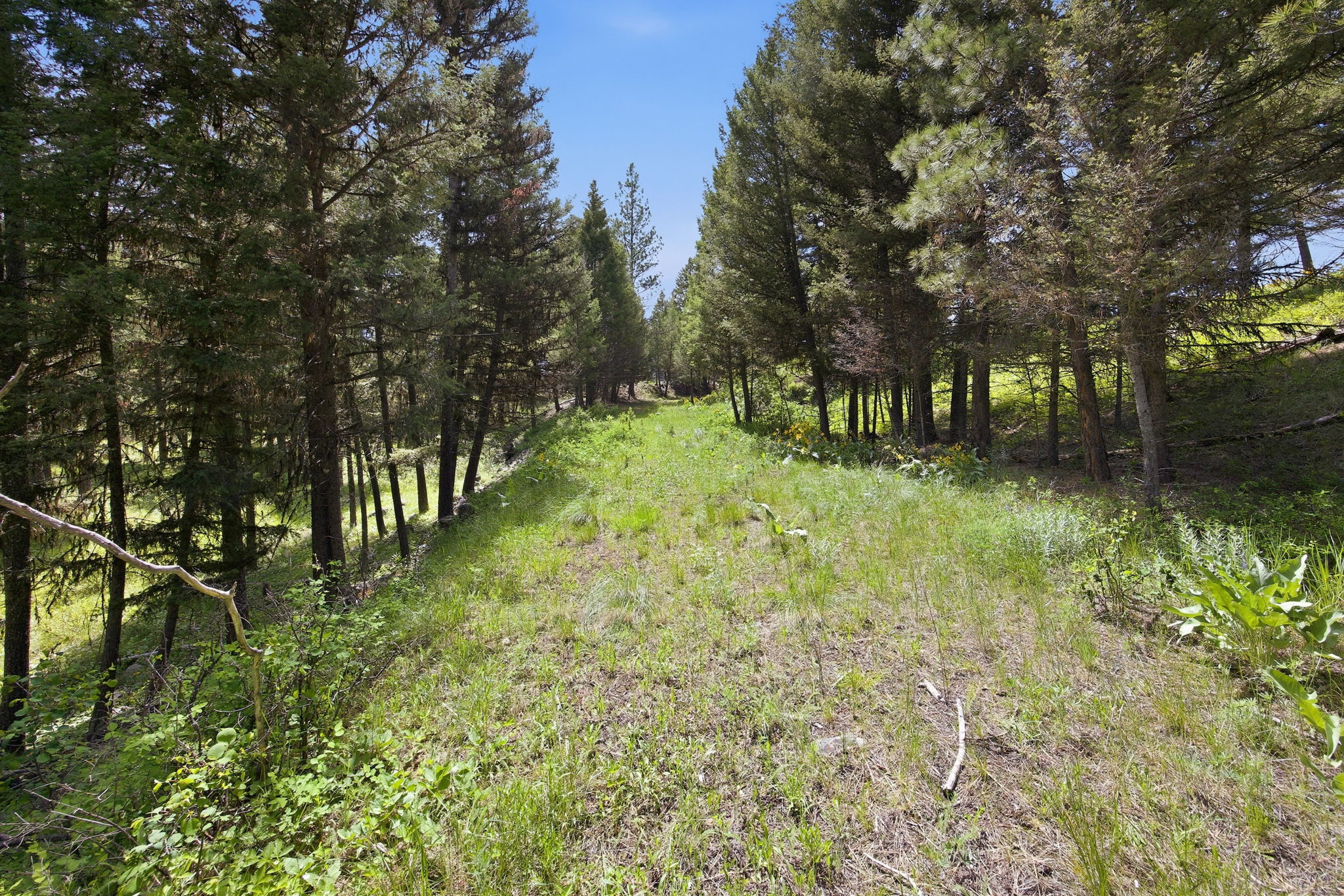 3 Big Waters Ranch Road Property Photo 25