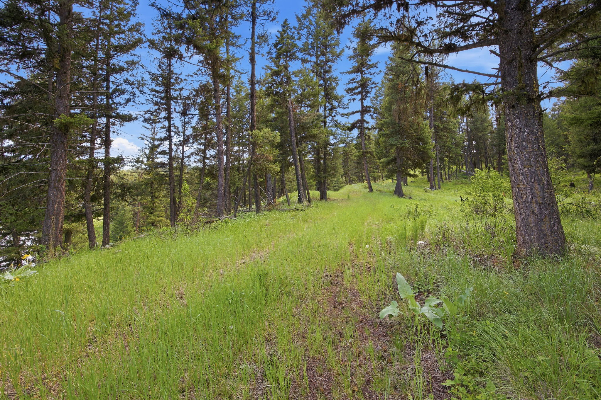 3 Big Waters Ranch Road Property Photo 26