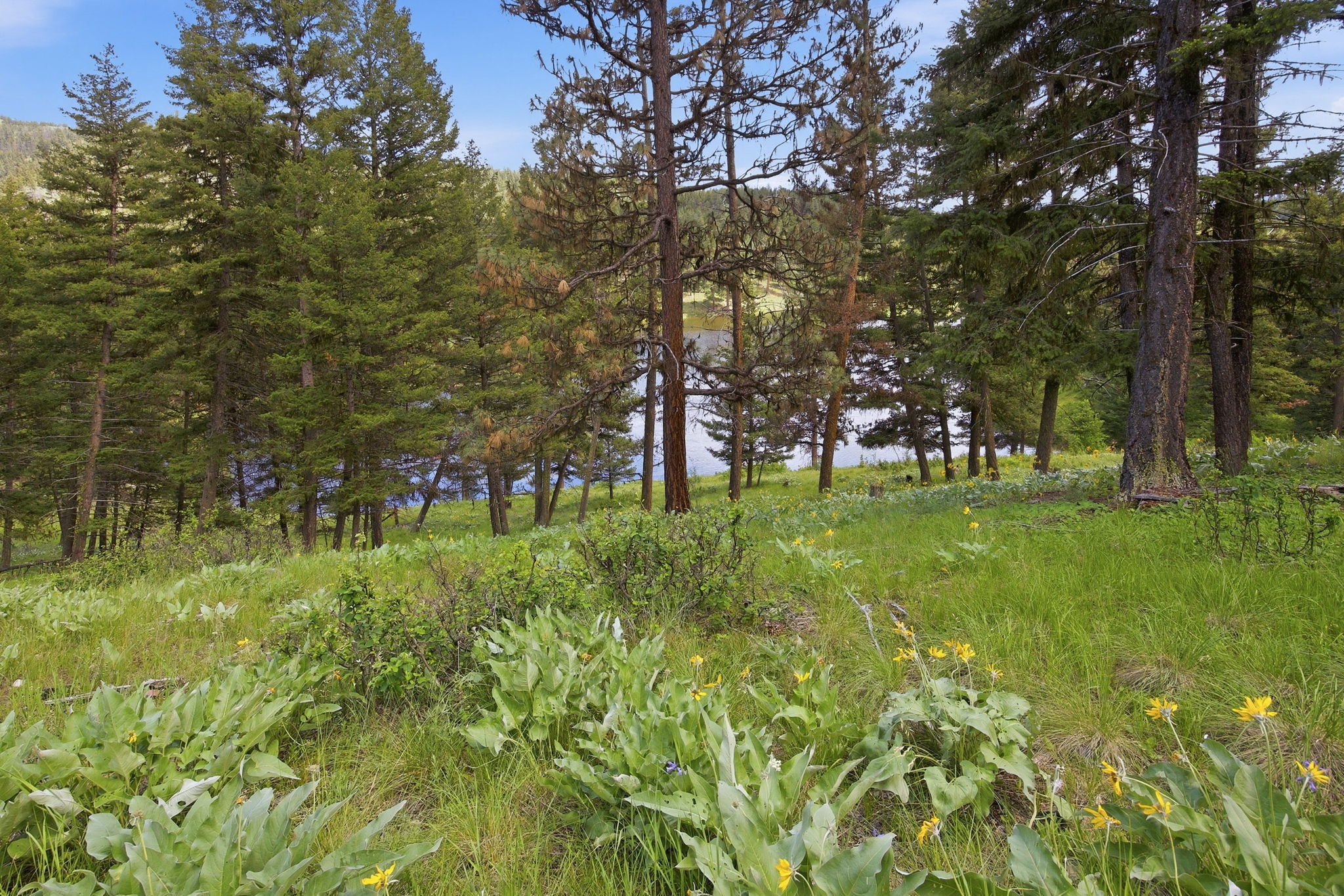 3 Big Waters Ranch Road Property Photo 27