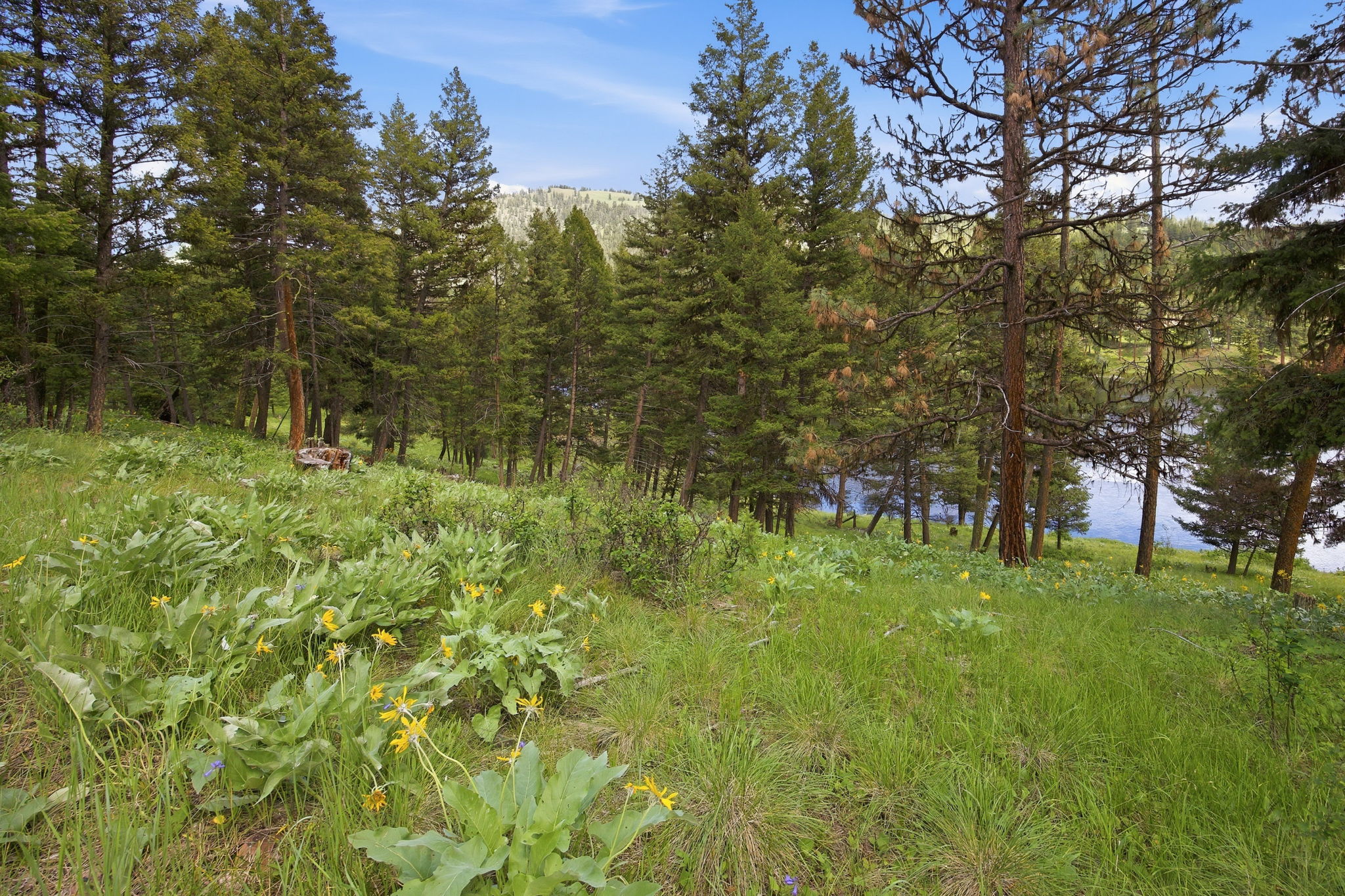3 Big Waters Ranch Road Property Photo 28