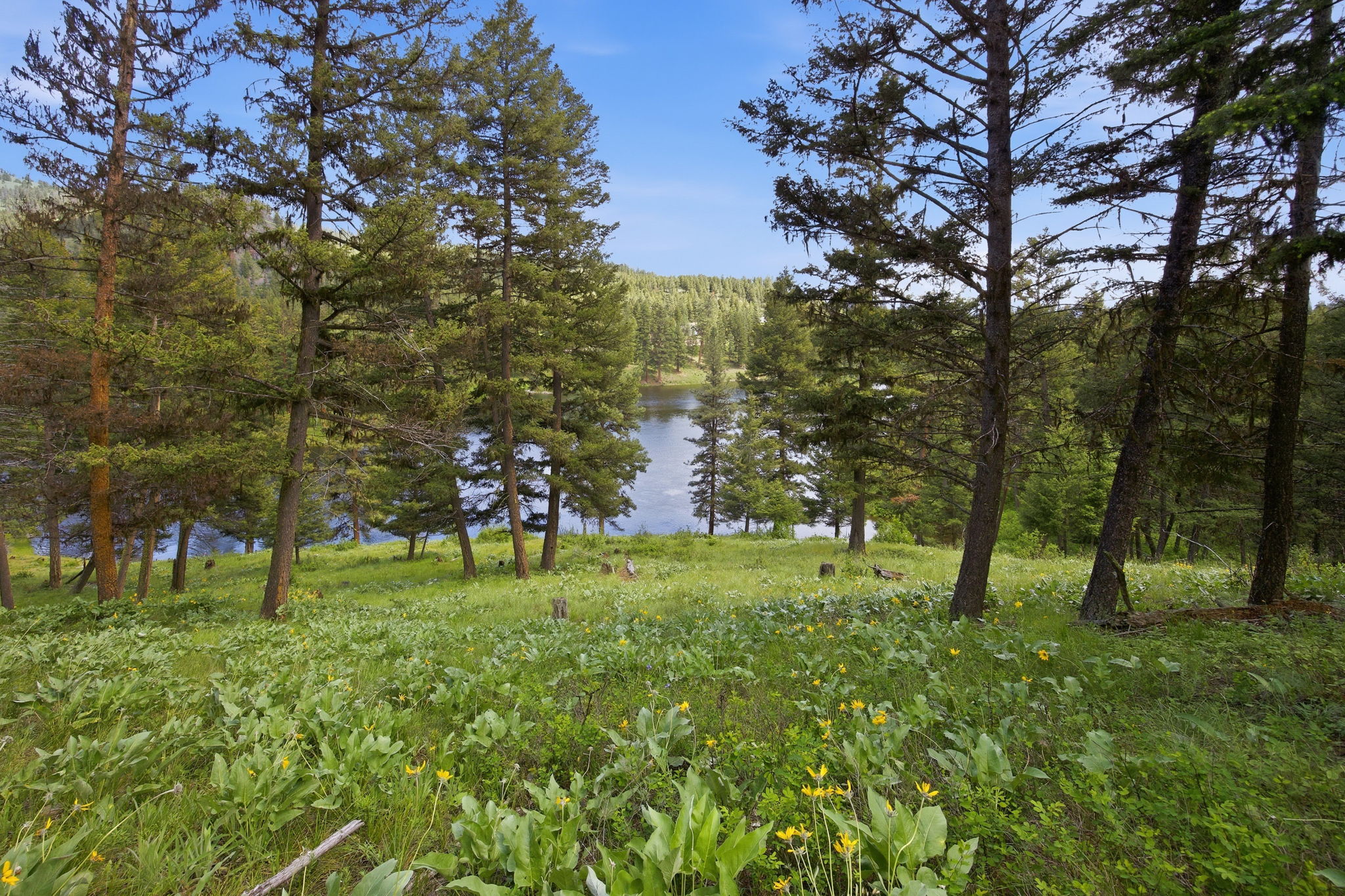 3 Big Waters Ranch Road Property Photo 30