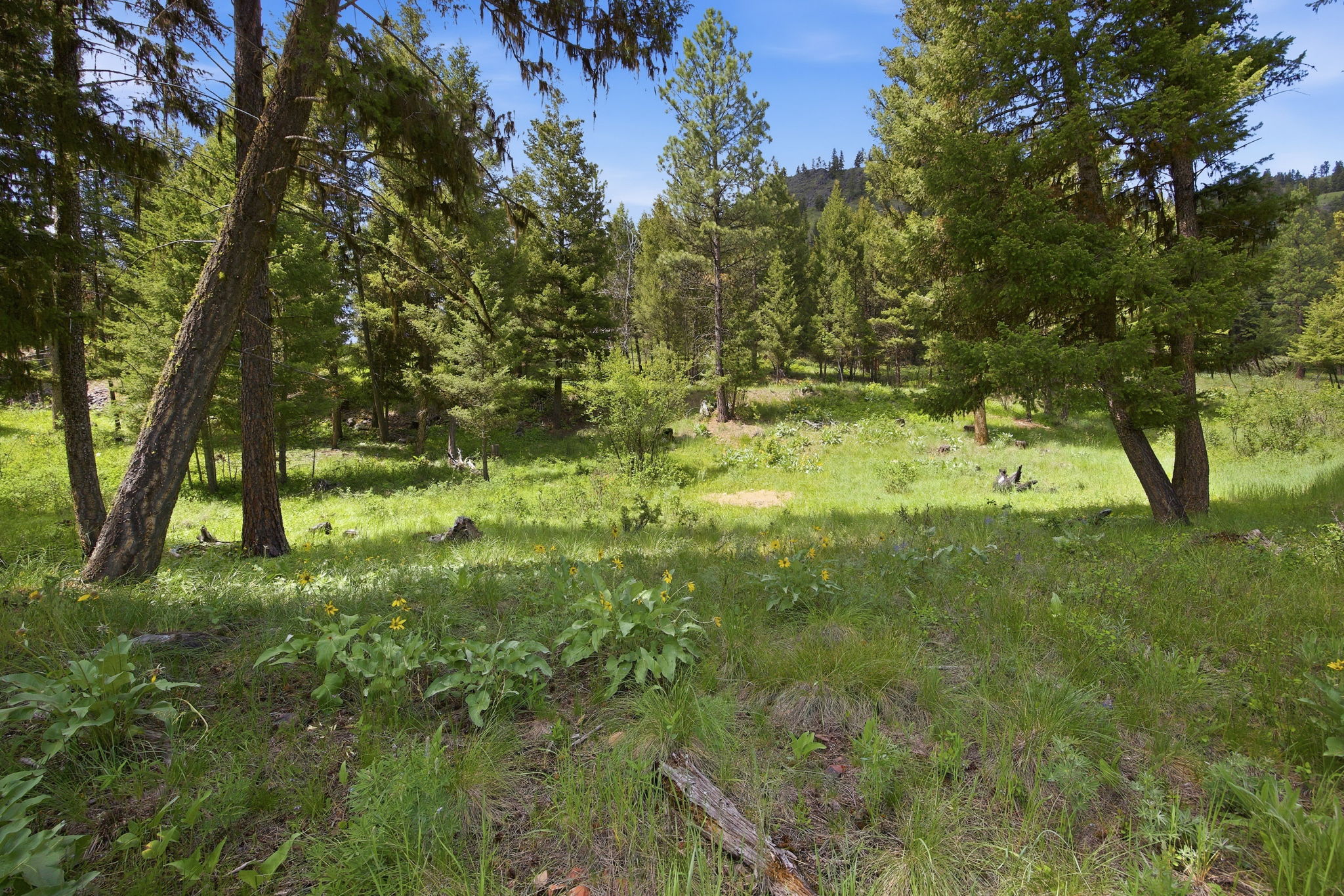 3 Big Waters Ranch Road Property Photo 31