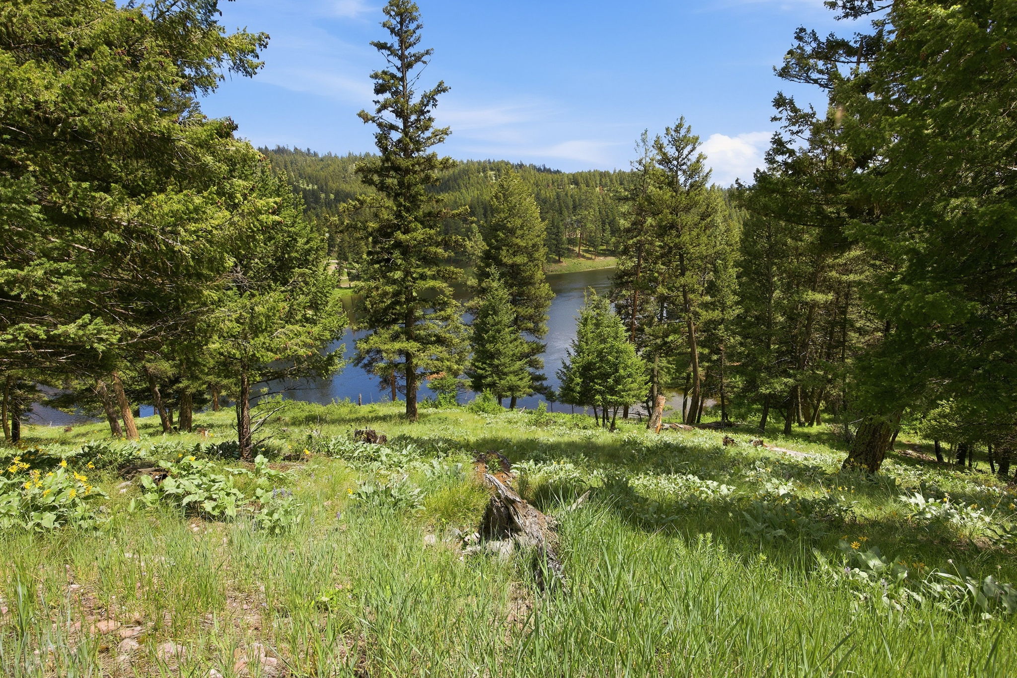 3 Big Waters Ranch Road Property Photo 32
