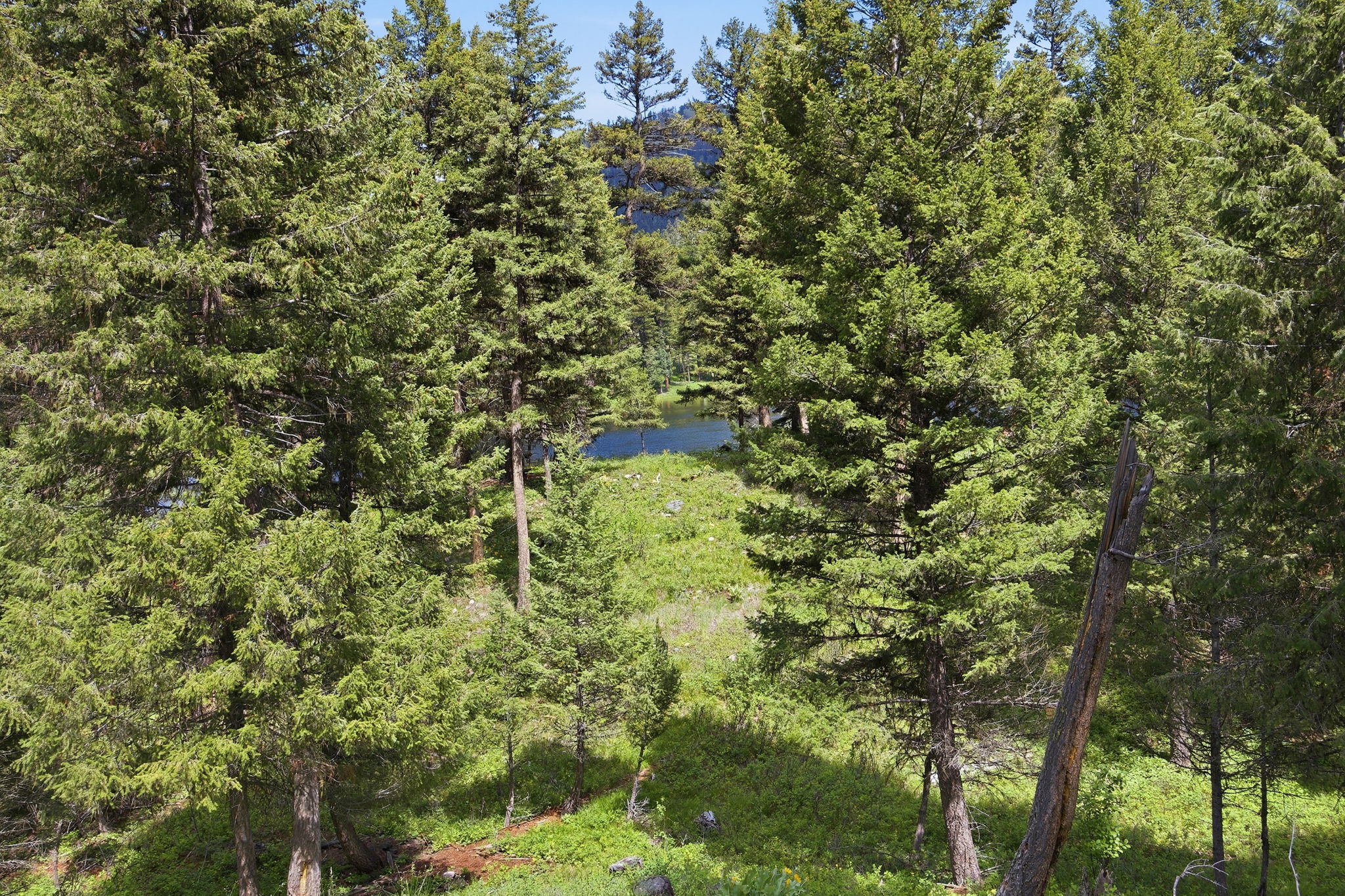 3 Big Waters Ranch Road Property Photo 33