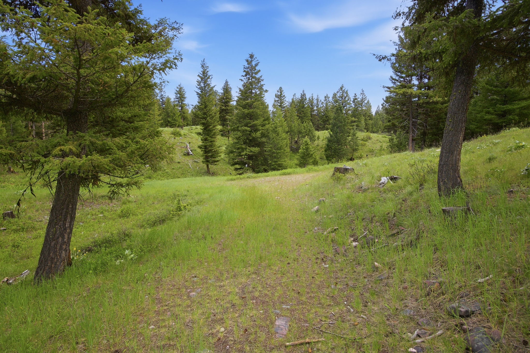 3 Big Waters Ranch Road Property Photo 34