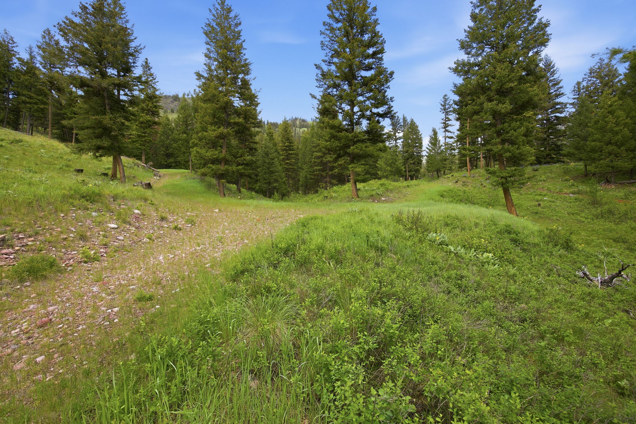 3 Big Waters Ranch Road Property Photo 35