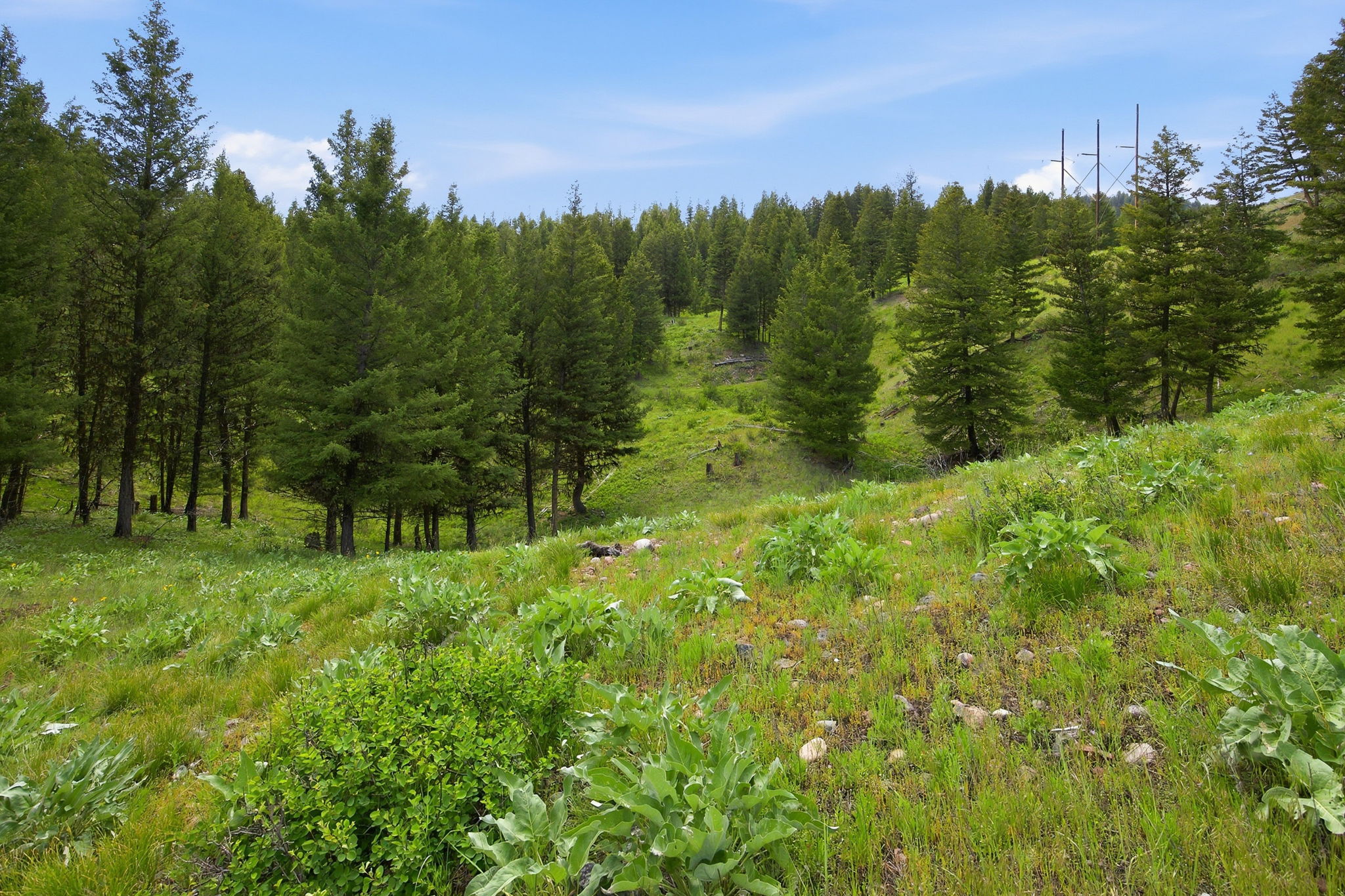 3 Big Waters Ranch Road Property Photo 36