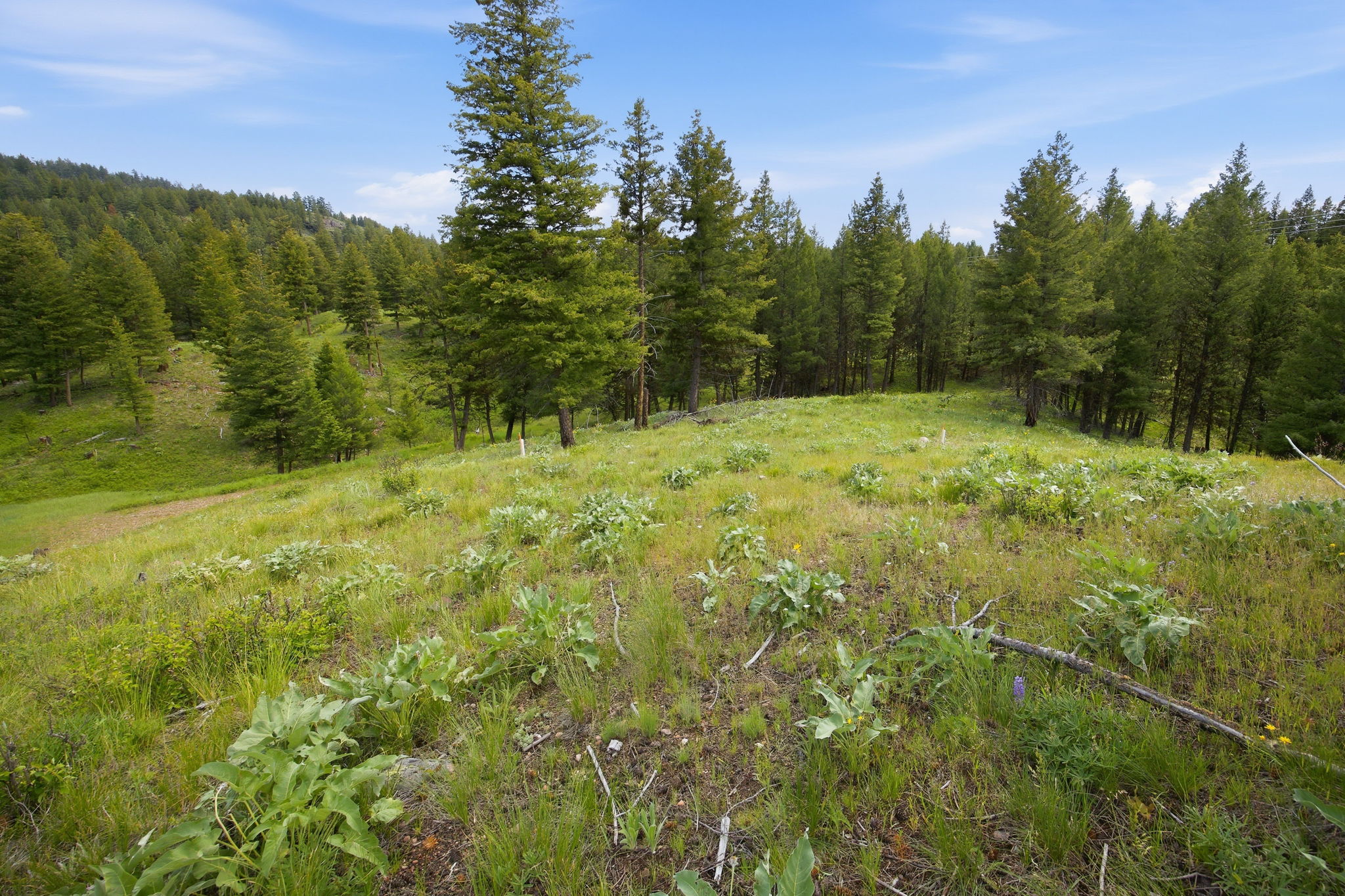 3 Big Waters Ranch Road Property Photo 37