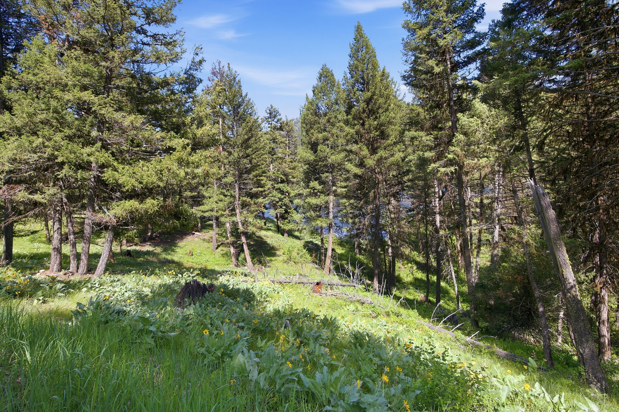 3 Big Waters Ranch Road Property Photo 38