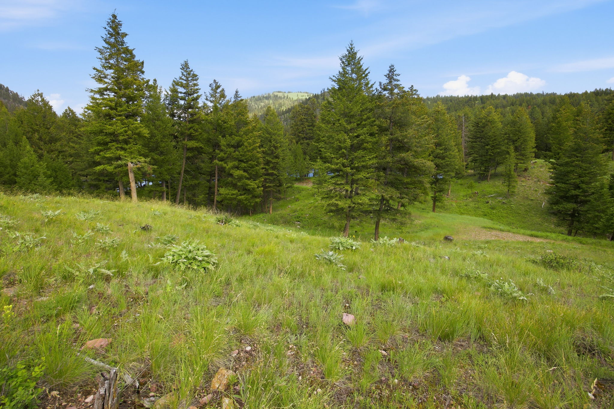2 Big Waters Ranch Property Photo 11