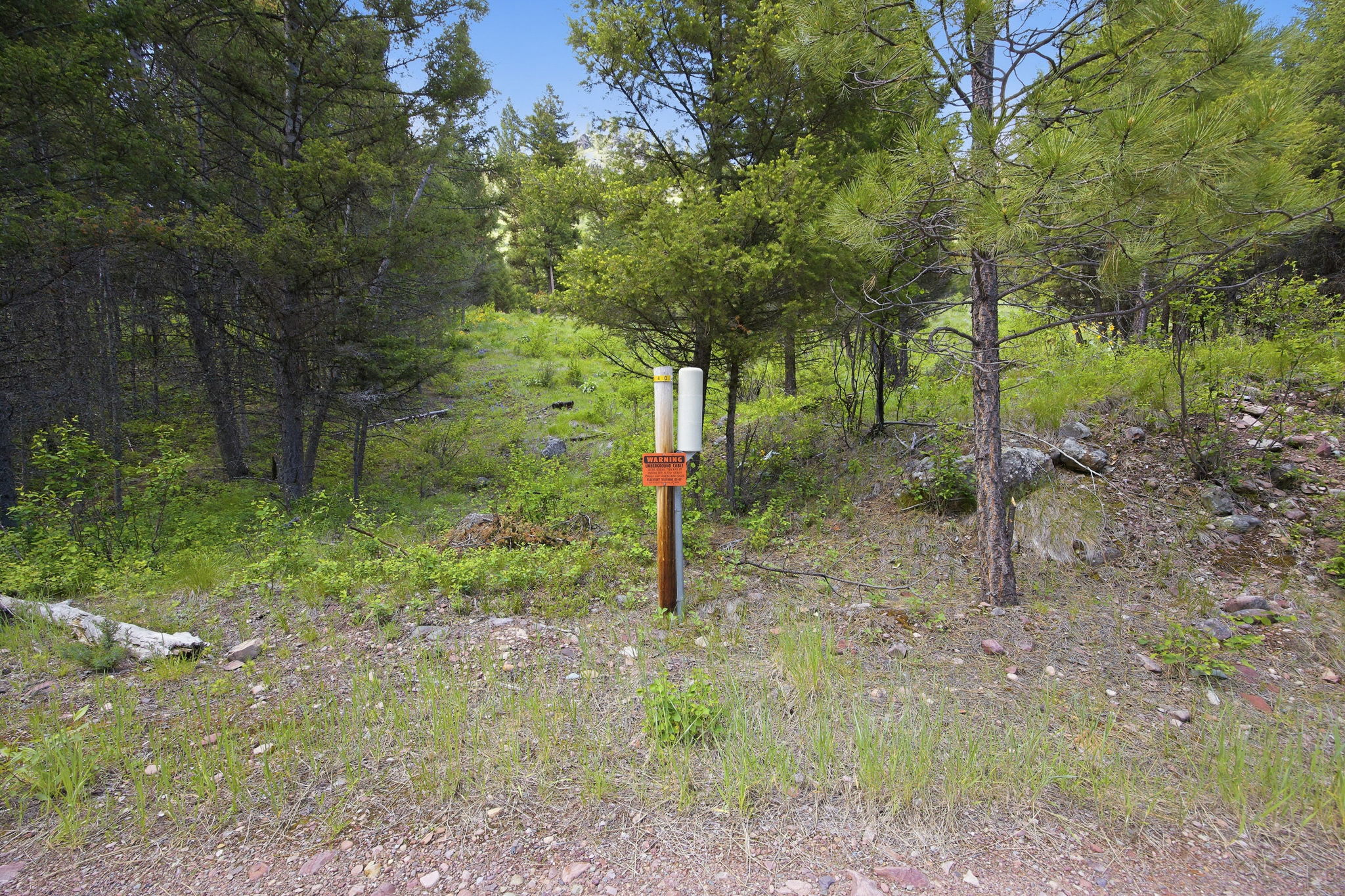 2 Big Waters Ranch Property Photo 12
