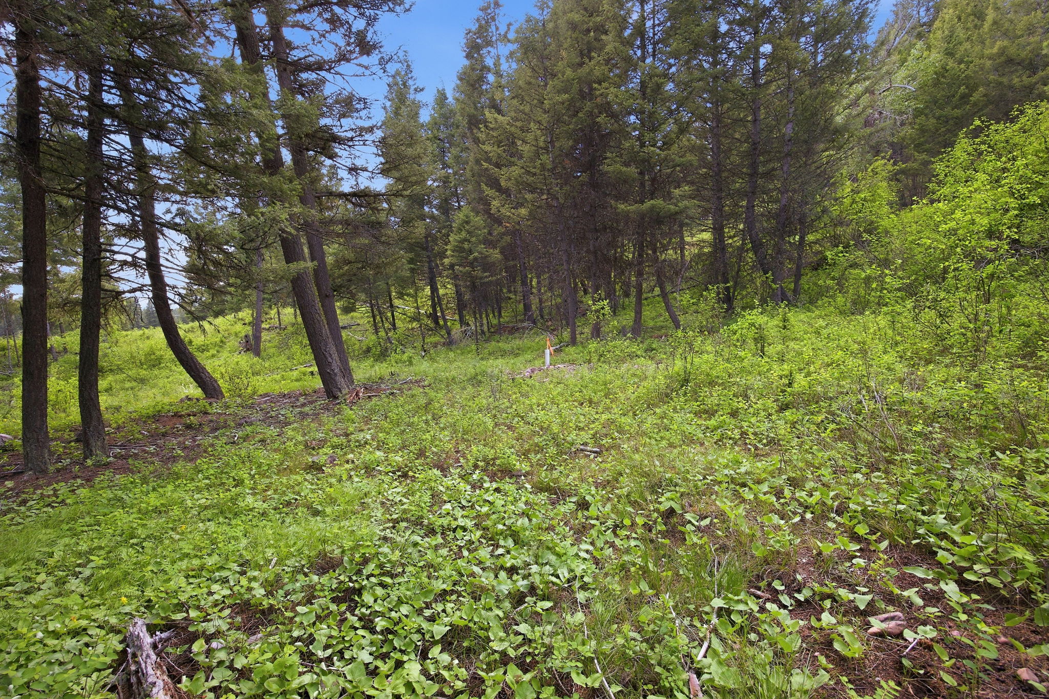2 Big Waters Ranch Property Photo 13