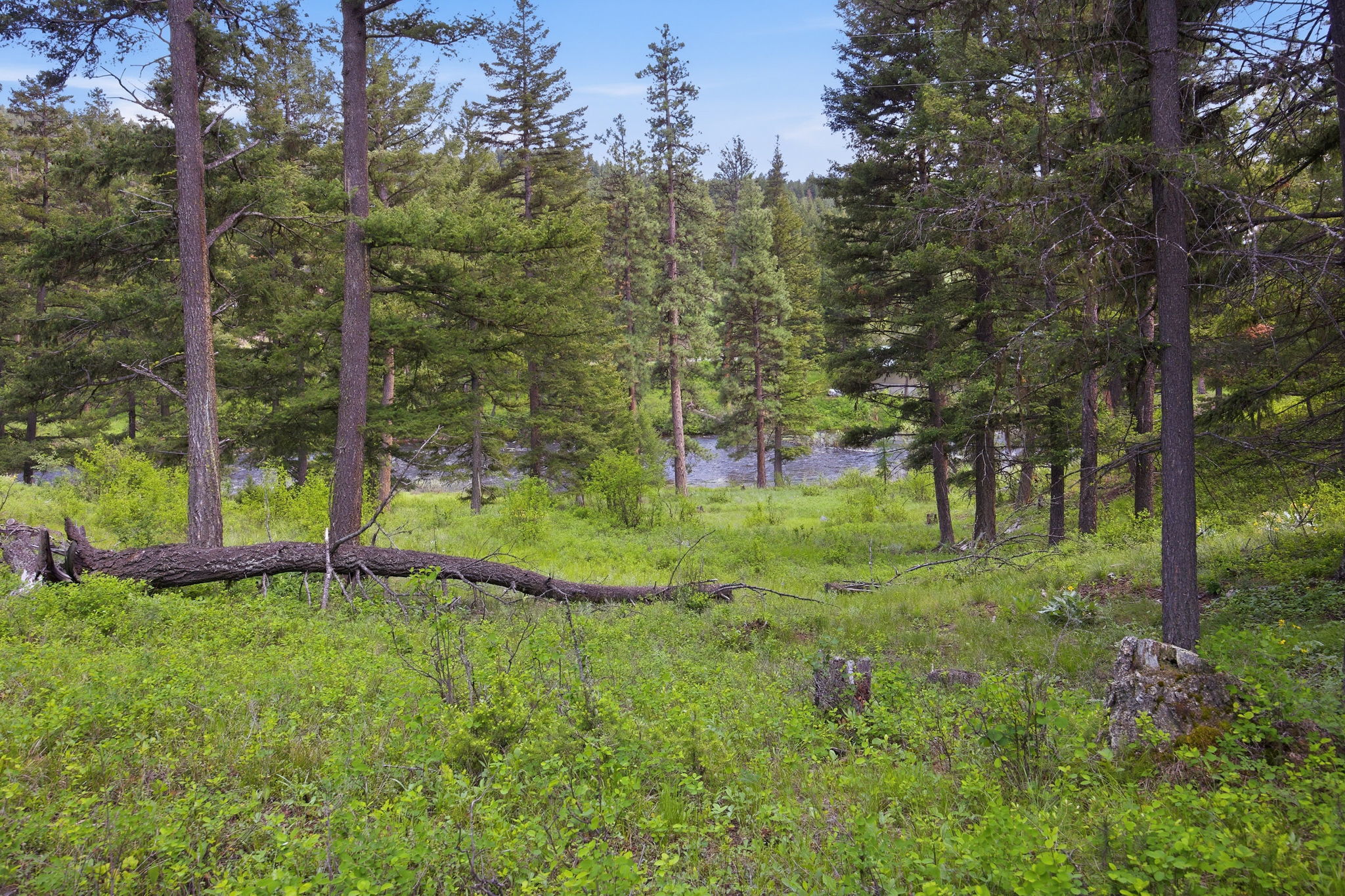 2 Big Waters Ranch Property Photo 14