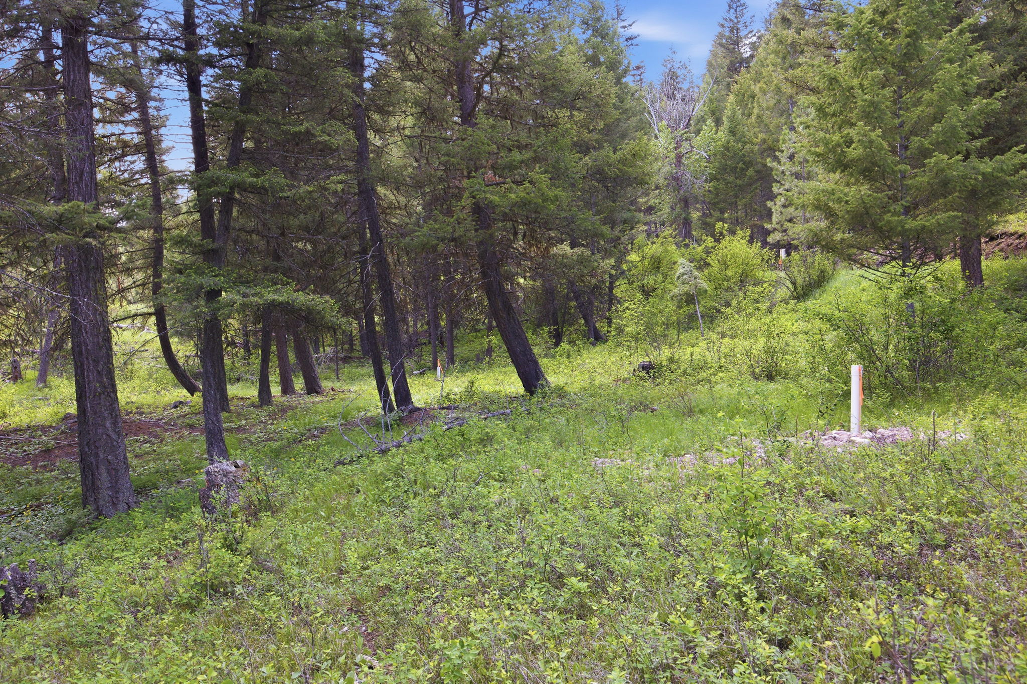 2 Big Waters Ranch Property Photo 15