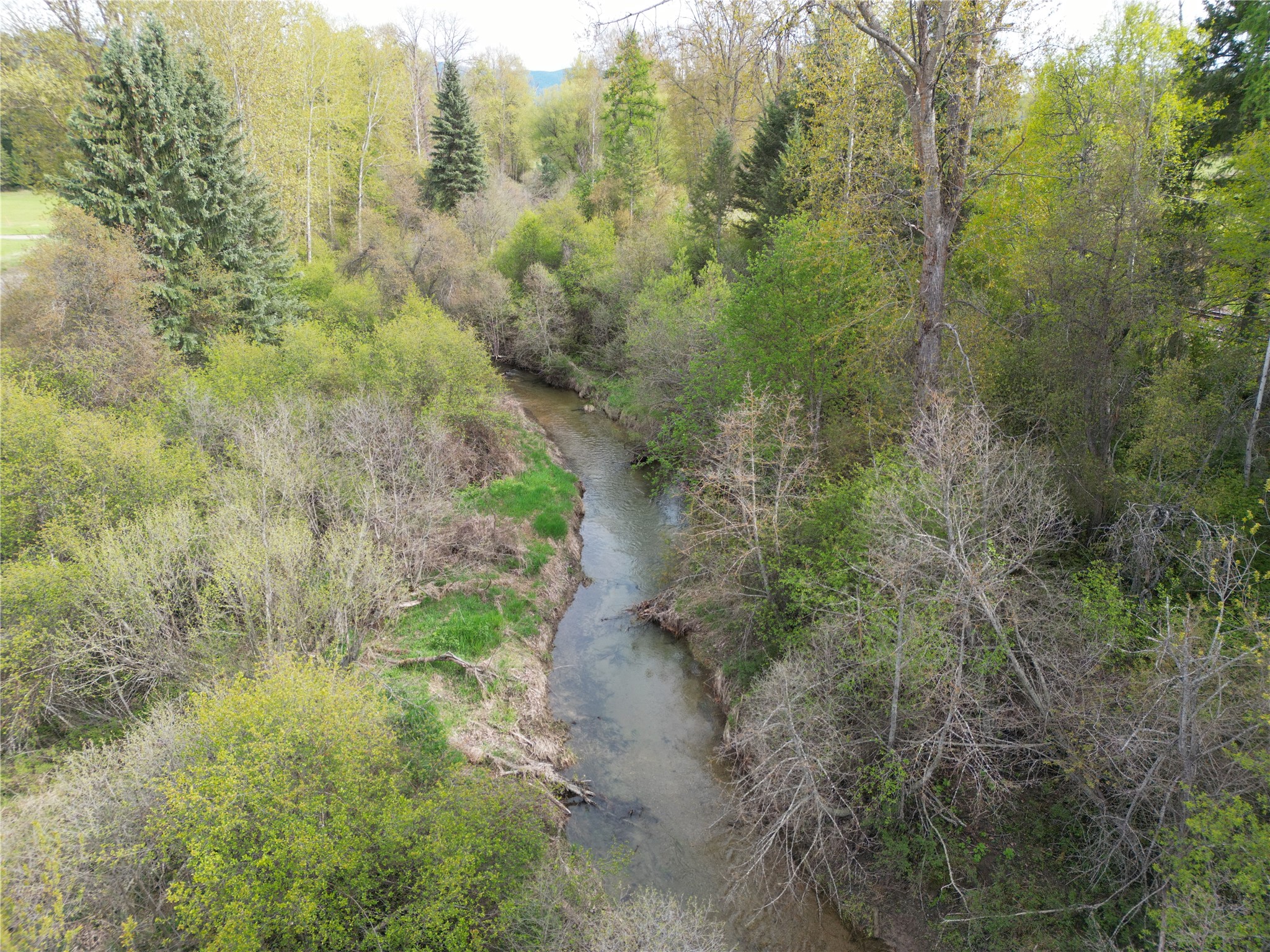 864 Kootenai Views Drive Property Photo 6