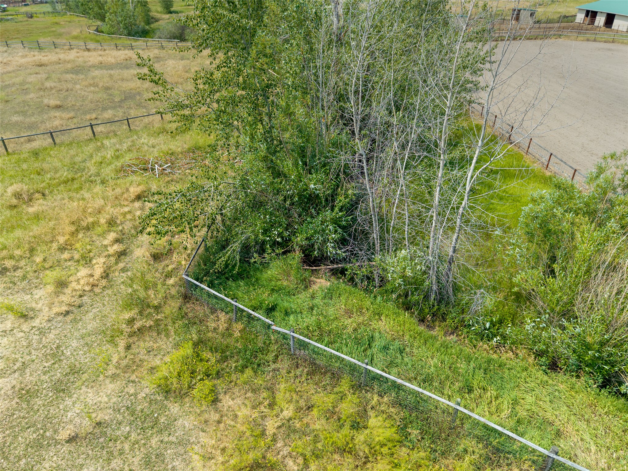 9849 Lees Lane Property Photo 39