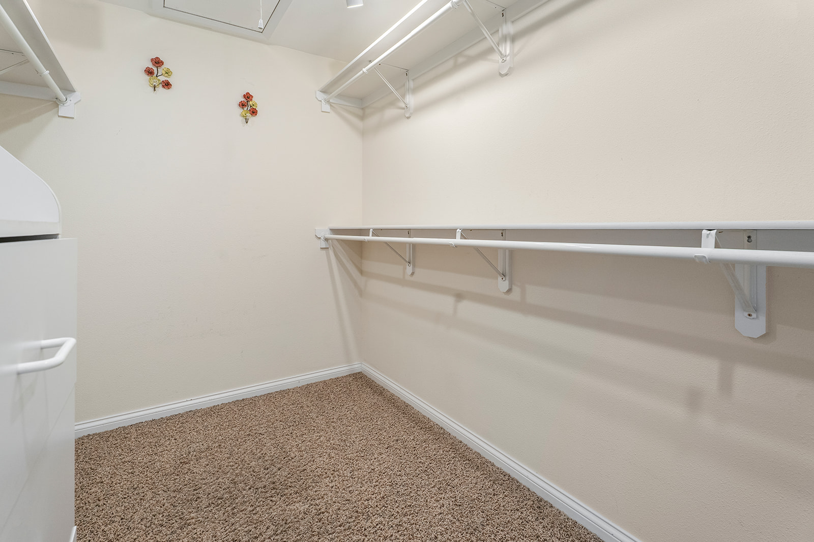 1904 Gold Rush Avenue Property Photo 21