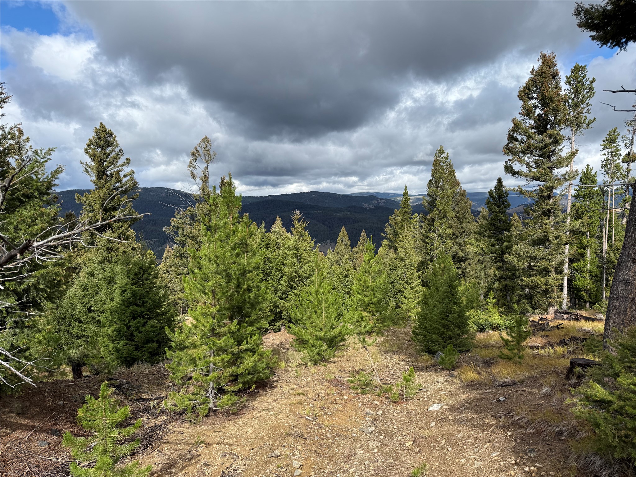Lot 8 Ruby Mine Road Property Photo 16