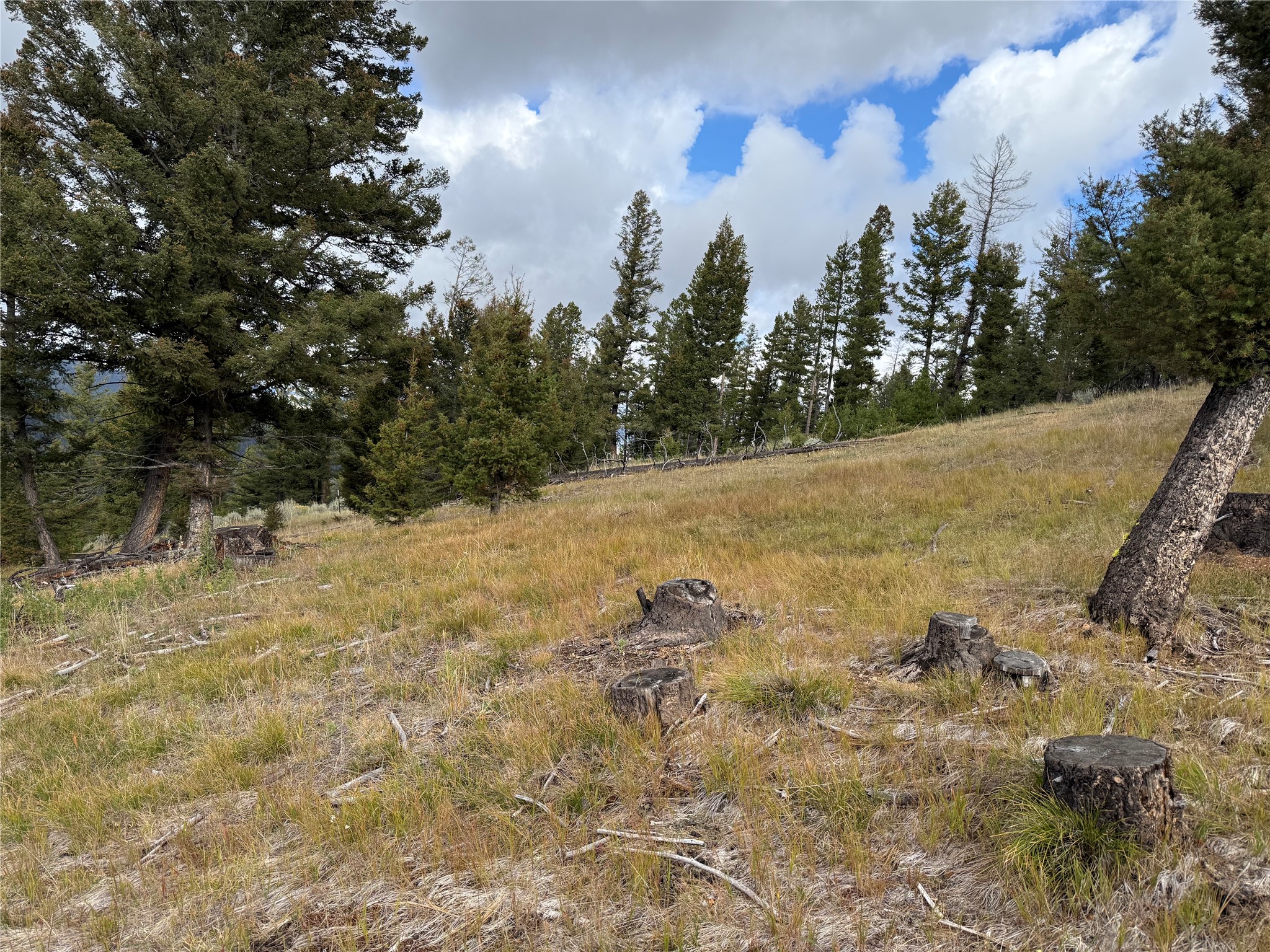 Lot 8 Ruby Mine Road Property Photo 21