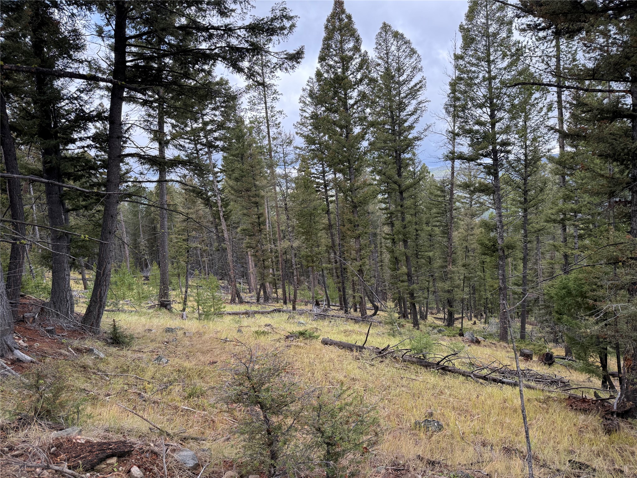 Lot 8 Ruby Mine Road Property Photo 23