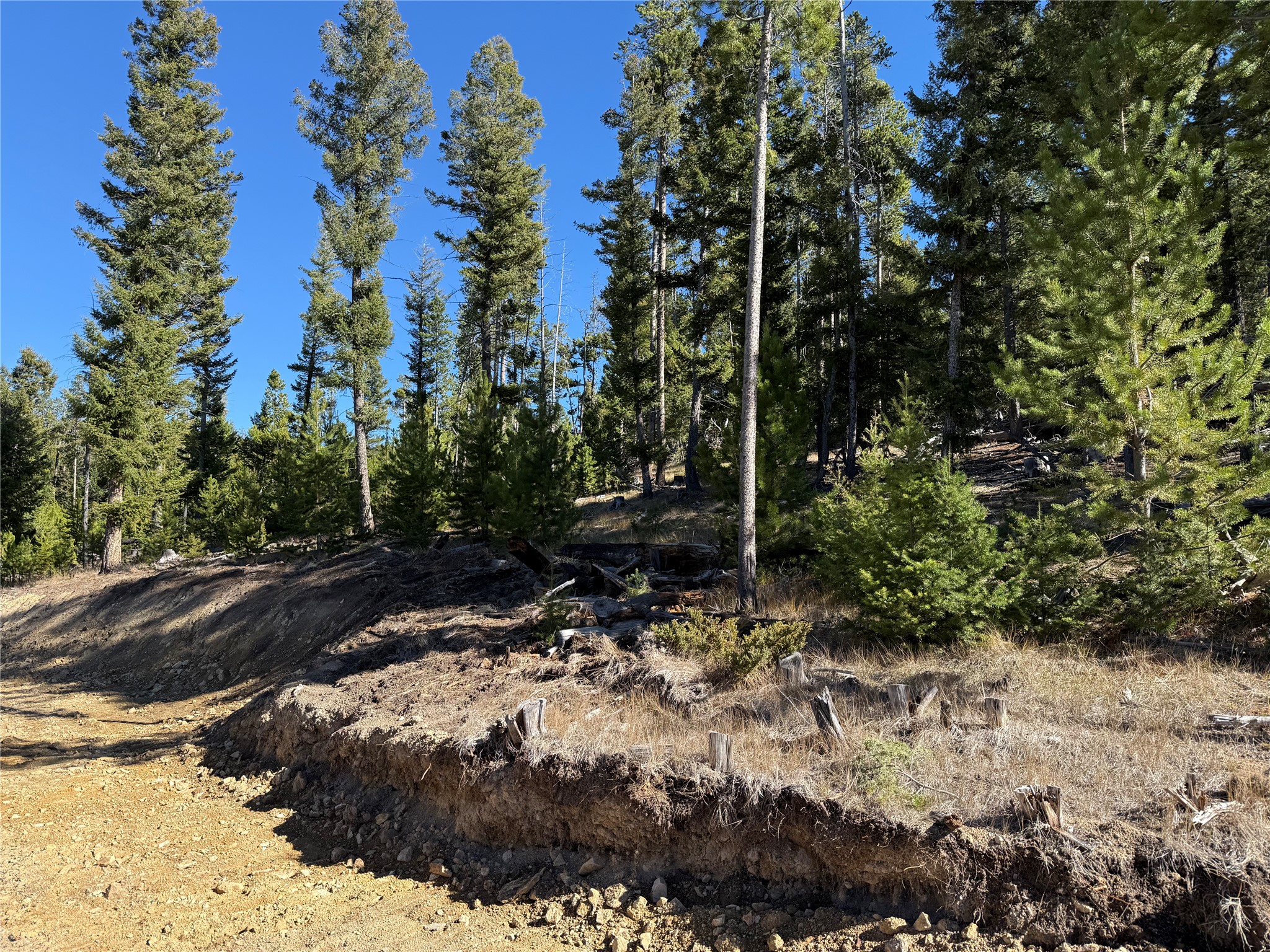 Lot 8 Ruby Mine Road Property Photo 30