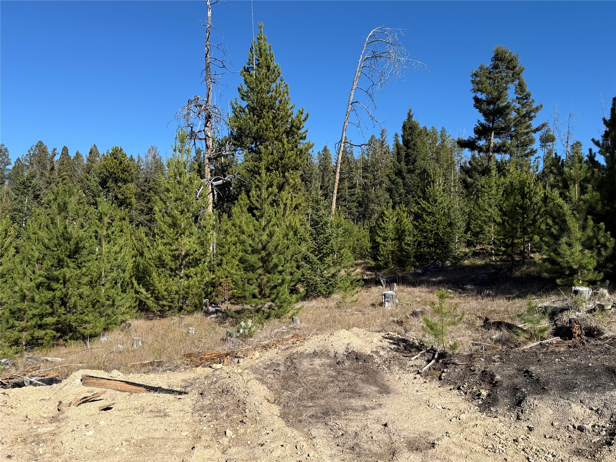Lot 8 Ruby Mine Road Property Photo 33